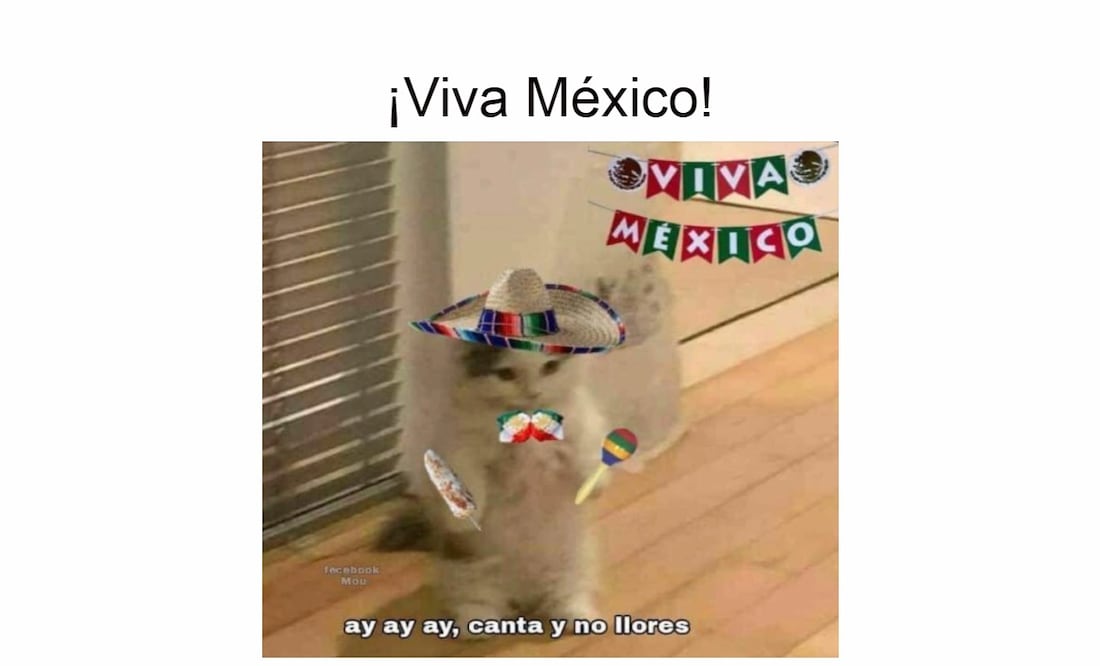 Foto: Redes Sociales