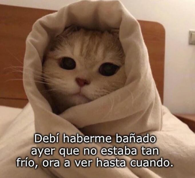 10 memes que nos representan en esta época de frío en México