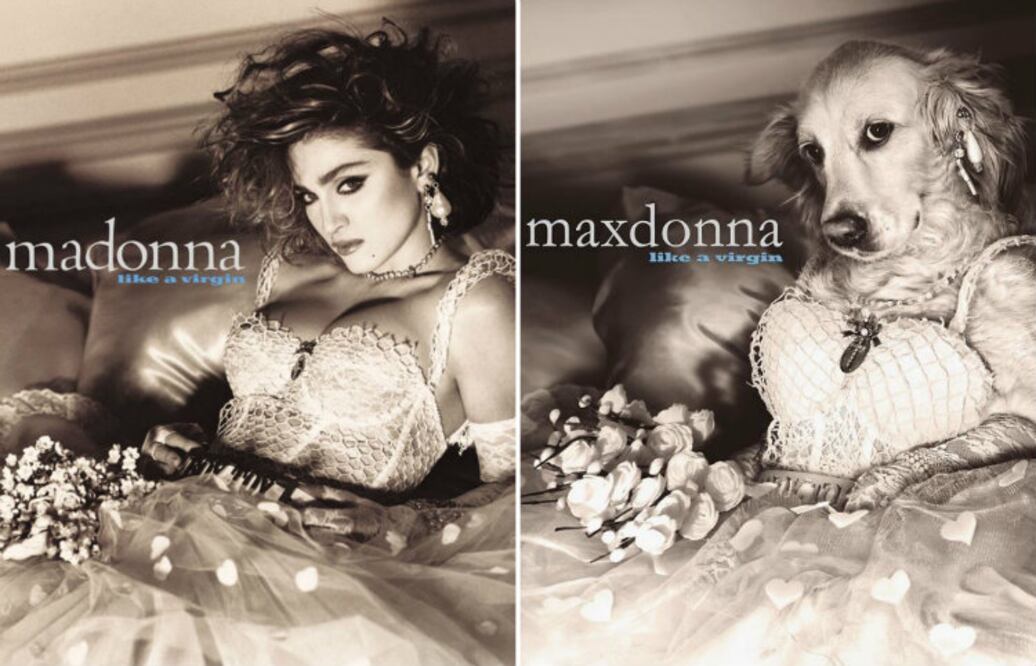 Foto: Instagram @max_et_vincent