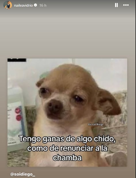 Este fue el meme que usó Nailea Vidrio y causó revuelo. FOTO: @naileavidrio