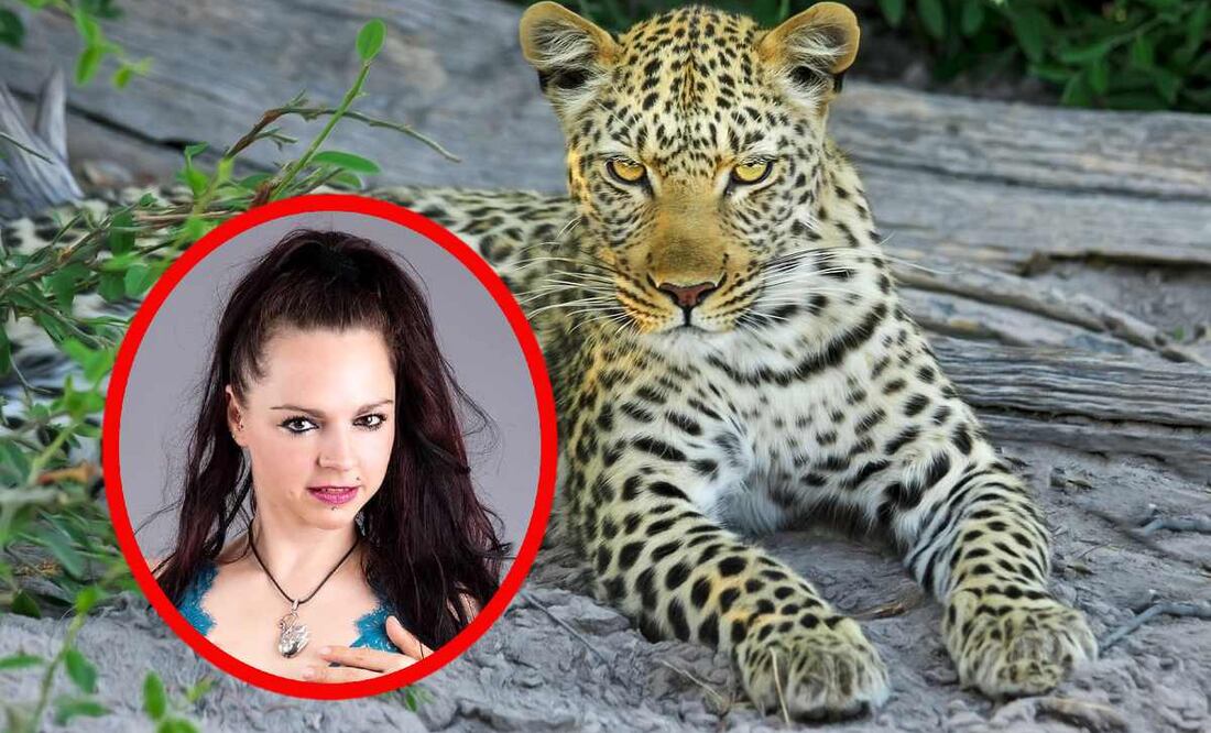 Fotos: Pixabay/Facebook Lady Butterfly - Fotomodel & Klavier-Komponistin