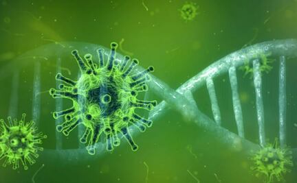 ¿Por cuánto tiempo se es inmune al Covid-19 si te contagias?