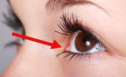 10 partes de nuestro cuerpo que ya no sirven para nada