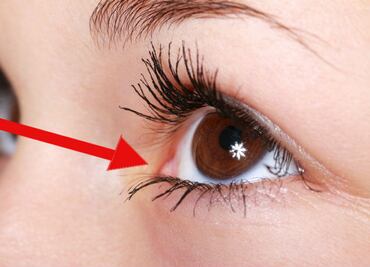 10 partes de nuestro cuerpo que ya no sirven para nada