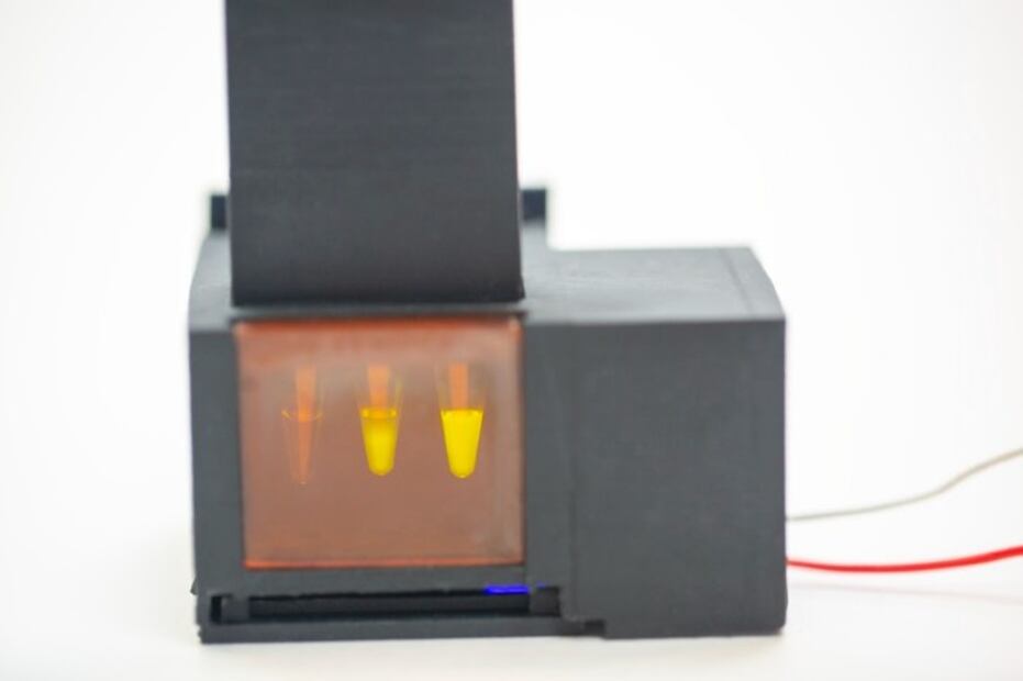 ¡Más barata y rápida! Crean prueba que detecta variantes de Covid-19