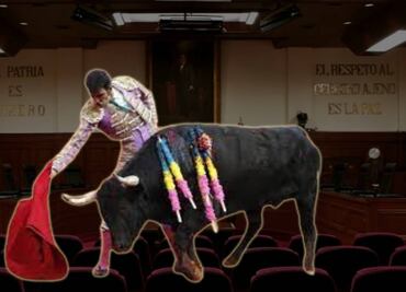 ¡La tauromaquia no se va! Juez niega suspensión definitiva contra corridas de toros