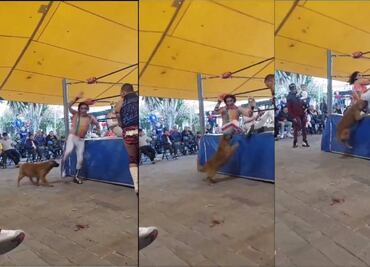 Perro se roba el show luego de morder a luchador en una función callejera
