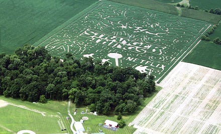 Laberinto Stranger Things… Todo fan querrá perderse aquí