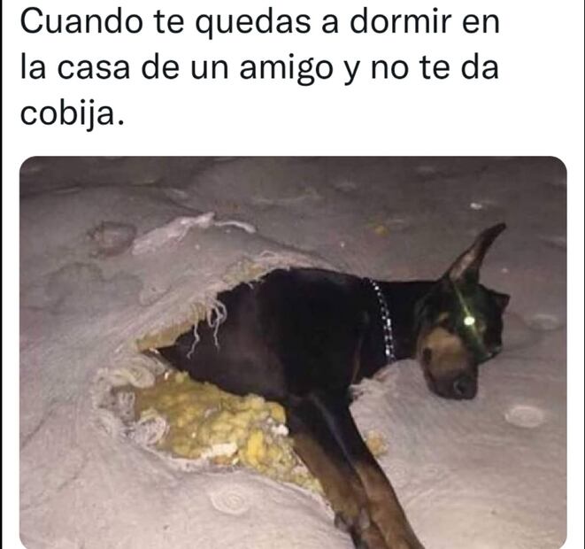 Los 10 memes más divertidos sobre el frío en este 2022