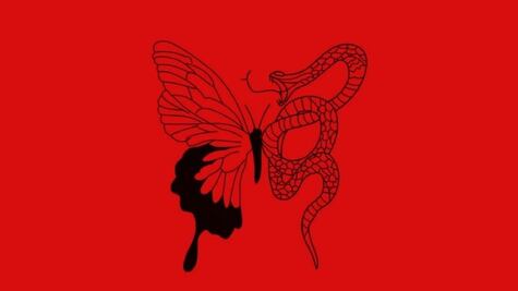 Dime que fue lo que viste primero y te diré si eres una persona estricta