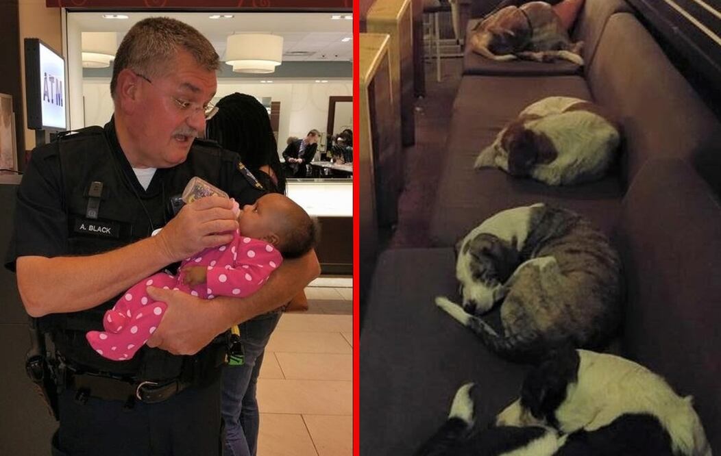 Foto: Facebook Eustratios Papanis y Jill Neil