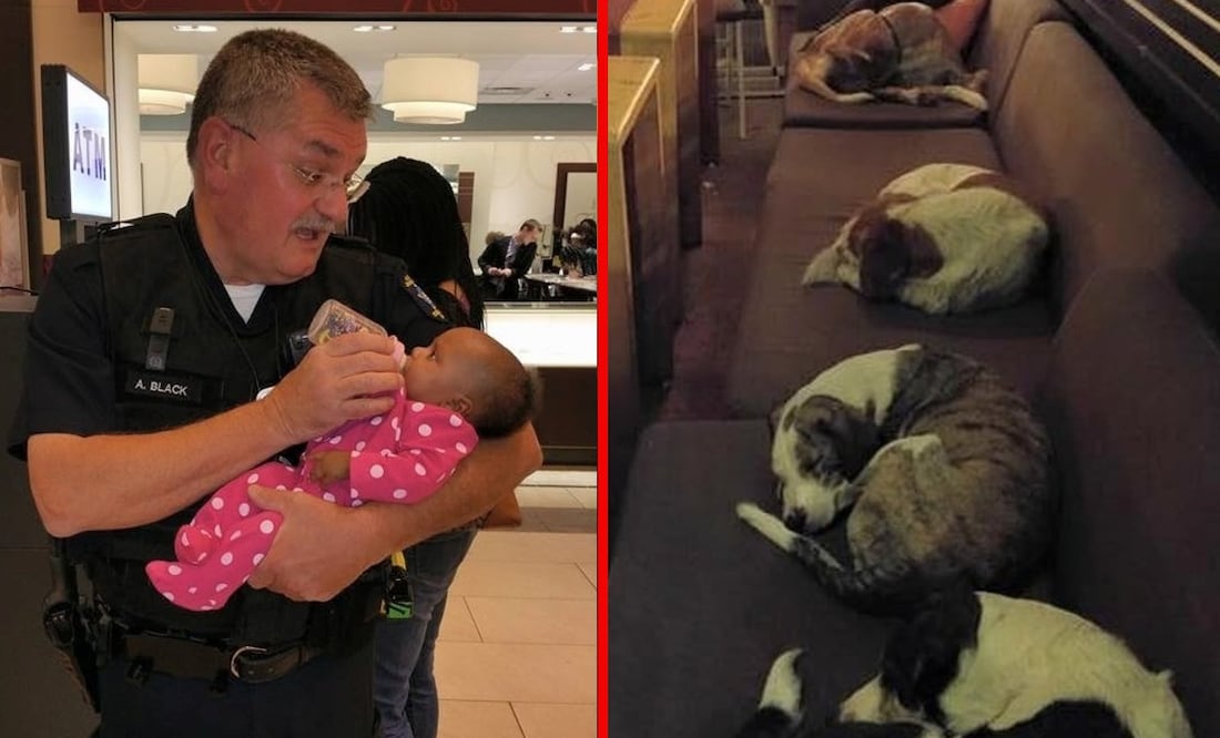 Foto: Facebook Eustratios Papanis y  Jill Neil