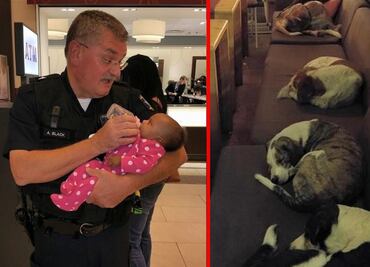 10 fotos de buenas acciones que te devolverán la fe en la humanidad