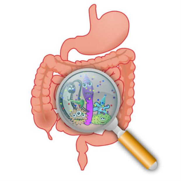 Consejos para evitar las infecciones gastrointestinales en verano