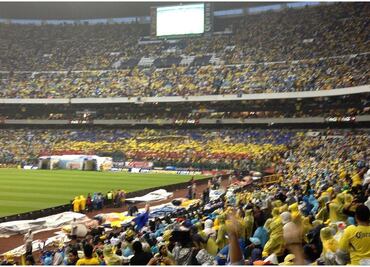 ¡Están dementes! Revendedores piden más de 80 mil pesos por boletos de América-Tigres