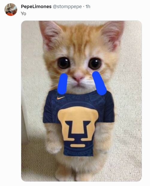 Los memes que dejó la salida de Mohamed de Pumas