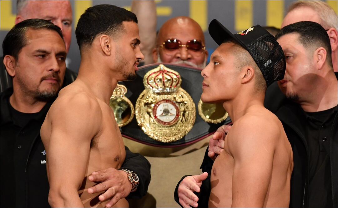 Conoce cuándo y dónde ver la pelea en vivo entre Pitbull Cruz y Rolando Romero / FOTO: @bxstrs