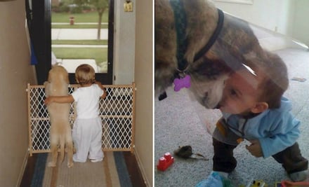 10 tiernas imágenes que demuestran que la verdadera amistad ¡sí existe!