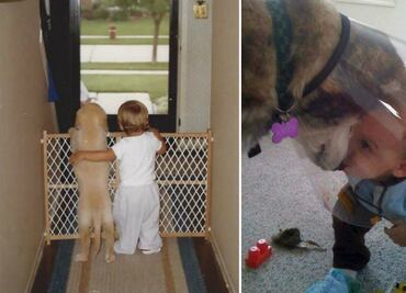 10 tiernas imágenes que demuestran que la verdadera amistad ¡sí existe!
