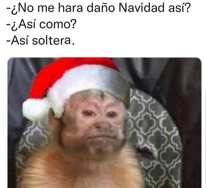 Los 10 mejores memes que retratan el espíritu navideño del 2021