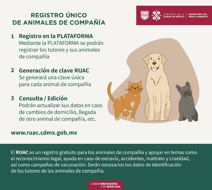 RUAC: Lanzan CURP para registrar mascotas en la CDMX