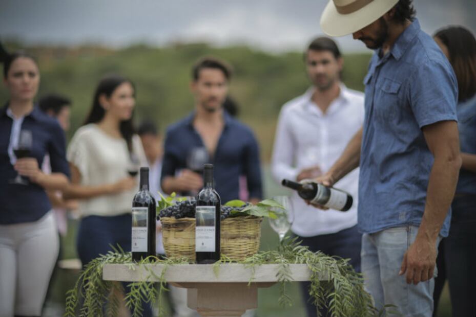 Disfruta las Rutas del Vino y las Fiestas de la Vendimia en Guanajuato