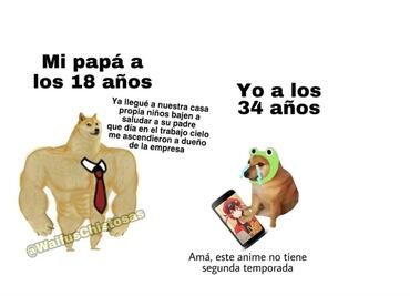 Los 10 mejores memes del perro de antes y ahora