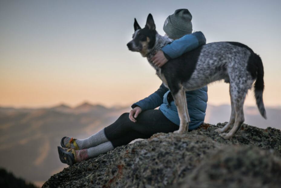5 hermosas historias en los que un perrito cambió la vida de una persona