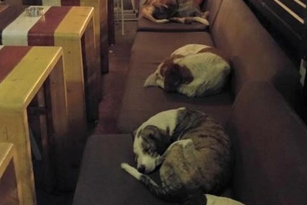 Foto: Facebook Eustratios Papanis