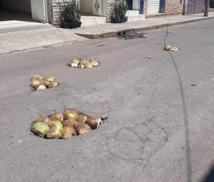 ¡Ni la NASA! Pobladores tapan los baches con ¡COCOS! en Nayarit