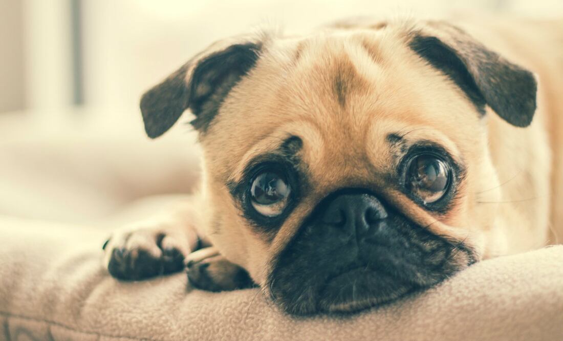 Foto: Burst en Pexels