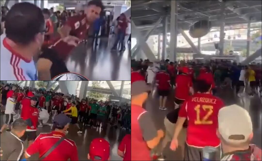 Aficionados de Venezuela se olvidaron de sus colores en común y armaron una bronca. FOTO: Capturas