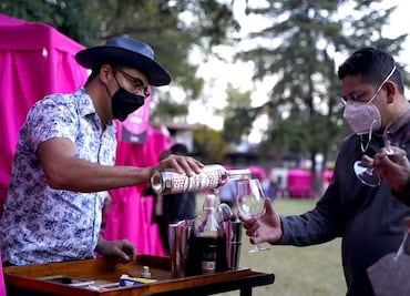 La 8va. edición del Festival Intervinos 2022 llega a Tlaxcala