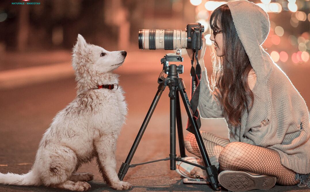 Foto cortesía Naturale Mascota