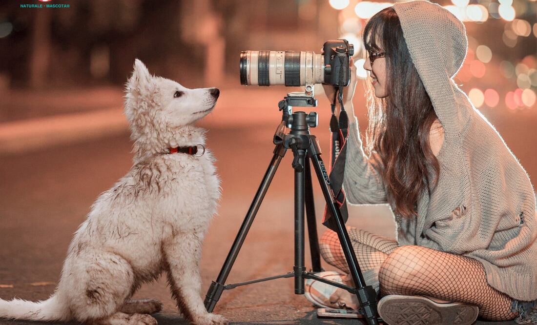 Foto cortesía Naturale Mascota