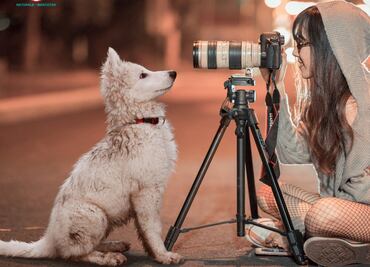 Las mujeres prefieren tener una mascota que a un novio en cuarentena
