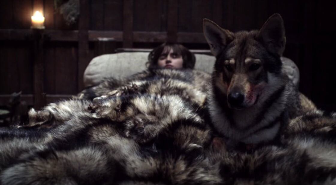 ¿Qué pasó con los fieles lobos de los Stark en “Game of Thrones”?