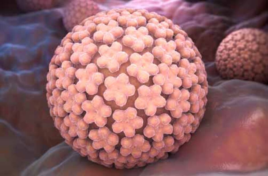 Conoce las diferentes formas del Virus de Papiloma Humano 