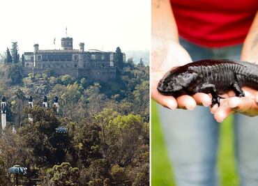 Las 20 cosas maravillosas que solo México posee