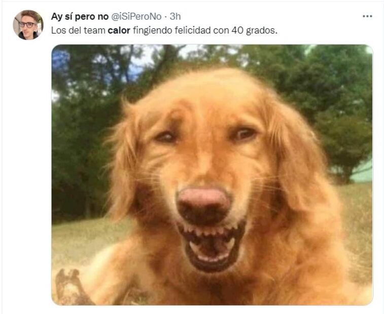 10 memes del calor intenso en México con los que te identificarás