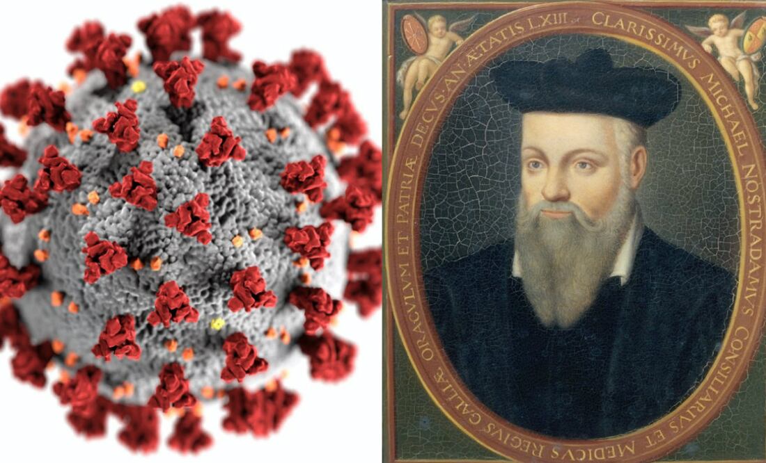 Fotos: Pexels/Wikimedia Commons