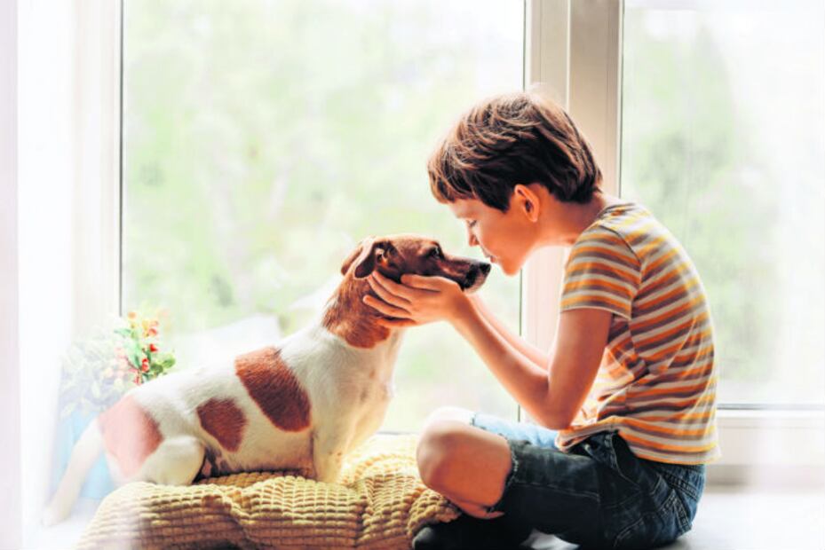 10 errores que debes evitar al elegir a un perro