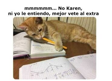 ¡Día del Gato! 10 memes que sólo “las Karens” entenderán