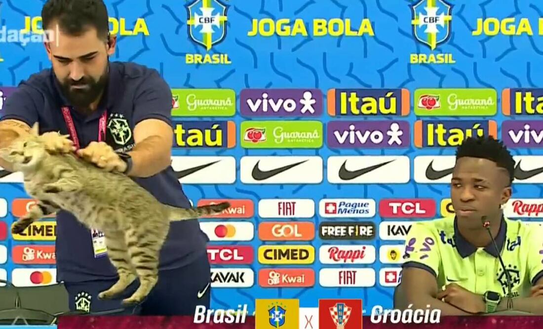 Después de lanzar al gato, el cuadro brasileño ha visto su suerte en diferentes competencias. Foto: Especial.