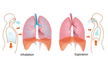 Tec de Monterrey ofrece taller de rehabilitación post Covid-19