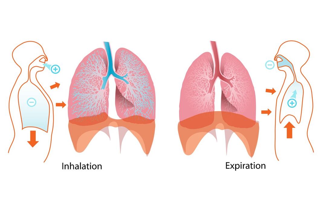 Imágenes de Pixabay