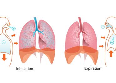 Tec de Monterrey ofrece taller de rehabilitación post Covid-19