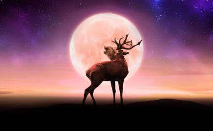 ¿Cuándo ver la Luna de Ciervo en julio 2022?