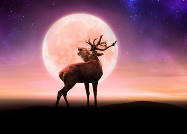 ¿Cuándo ver la Luna de Ciervo en julio 2022?
