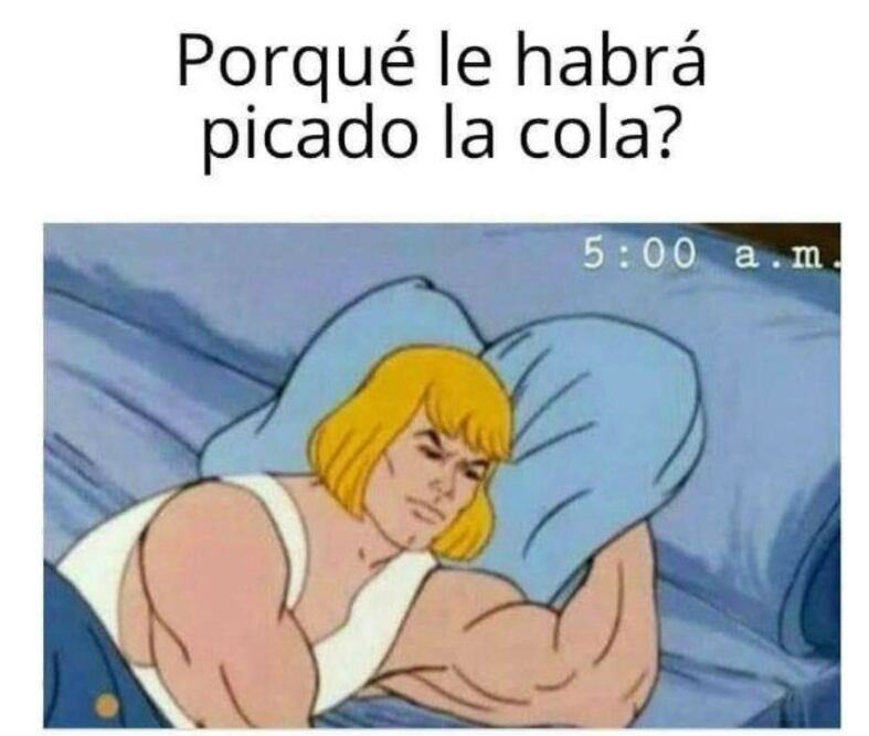 Foto: Redes Sociales